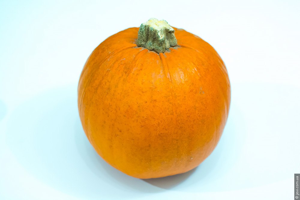 halloween-pumpkin-jevi-com-ua-1